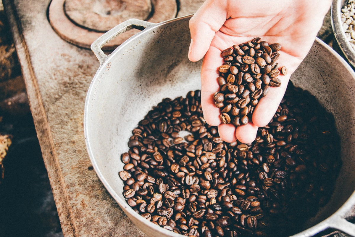 Espresso Extraction Explained: What Actually Happens in Those 28 Seconds